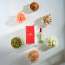 ARKS: Day Eau De Parfum ARKS: Day Eau De Parfum