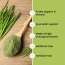 Vlado's Himalayan Organics: Vlado's Himalayan Organics 100% Natural Organic Wheatgrass Powder | USDA Certified| Organic Wheatgrass Juice | Ayurvedic Support For Natural Detox | Immunity Booster | Herbal Supplement - 100gm