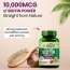 Vlado's Himalayan Organics: Plant Based Biotin 10,000mcg/Serve- 120 Veg Capsules