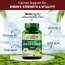 Vlado's Himalayan Organics: Plant Based Iron Supplement with Folate | Blood Builder | Whole Food | 90 Veg Capsules