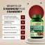 Vlado's Himalayan Organics: D-MANNOSE + CRANBERRY Antioxidant Rich Supplement for Kidney Health & Urinary Tract Infection - 90 Tablets