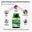 Vlado's Himalayan Organics: Plant Based Brain Booster Supplement with Ginkgo Biloba & Brahmi | Boost concentration & Memory | 60 Veg Capsules