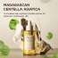 SKIN1004: Madagascar Centella Ampoule  | Calming Care | Sensitive Skin | Hydrating | Glow Boost | 100ml