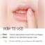 Etude: Ginger Sugar Overnight Lip Mask 25gm