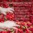 Nat Habit: Hibiscus Amla Hair Oil For Women & Men, Helps In Hair Growth & Thickness, 100ml