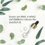 The Beauty Co.: Eucalyptus Essential Oil - 15ml