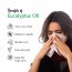 The Beauty Co.: Eucalyptus Essential Oil - 15ml
