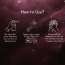 Himaira: 10:10 on the Right Path