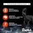 Dr. Morepen: Muscle Food Raptor 500ml