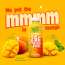 Yogabar: Mango Rizz Protein Shake 26gm, 250ml Pack of 12