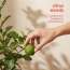 The Joon Shop: Solid 1|Solid Perfume|Citrus Woody| Cardamom Bergamot Sandalwood|Made in Korea|Alcohol Free, Moisturising, Vegan, Natural Extract 6gm