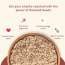 Nourish You: Organic Roasted Watermelon Seeds - Rich In Protein, Healthy snacks , Gluten Free 100gm