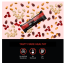The Snack Company: Cranberry Protein Bar 50gm| 100% Whey Protein Bar | 25% Protein in every serve