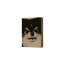 Cokodive: BTS V-Layover (1st Solo Album) | LP Ver.
