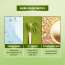 Renee Cosmetics: Matcha Cryo Mask 45gm