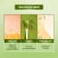 Renee Cosmetics: Matcha Lip Balm 10ml