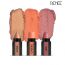 Renee Cosmetics: Fab Face Nude - 4.5gm