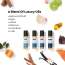 Detoxie: Detoxie | Luxury Parfum Oil (Attar) Gift Set - Limited Edition | Non-Alcoholic| Long Lasting | Oud, Sugar, Vanilla, Amber, Tonka Bean, Patchoulli, Grapefruit, Mandarin & Rose | Unisex | 32 ml