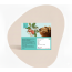 The Snack Company: Cashew Bistick 130gm