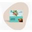The Snack Company: Cashew Bistick 130gm
