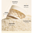 VT Cosmetics: Rice Ceramide Capsule Cream 50ml