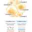 VT Cosmetics: Rice Ceramide Capsule Cream 50ml