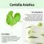 VT Cosmetics: Cica No-Sebum Mild Powder 5gm