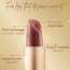 Renee Cosmetics: H2O Hydrating Creme Lipstick Brown Bay 4gm