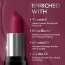 Renee Cosmetics: Prime Matte Lipstick 06 Mulberry Wine 4.5gm