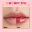 Renee Cosmetics: Juicy Fix Tinted Lip Balm Sugar Drizzle 10gm