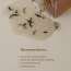 Kaine: Kombu Balancing Ampoule Toner 30ml