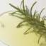 Kaine: Rosemary AHA Night Serum 30ml
