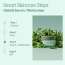 BLITHE: Pressed Serum Crystal Iceplant 27ml
