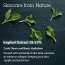 BLITHE: Pressed Serum Crystal Iceplant 27ml