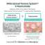 APLB: Glutathione Niacinamide Cleansing Water 160ml