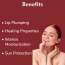 Dermistry: Cocoa Butter Tinted Lip Balm with Spf for Pigmentation Dry Dark Chapped Pigmented Lips 15ml