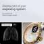 Withings: ScanWatch Nova Brilliant, Heart Health Hybrid Unisex Smartwatch, Gold-Silver