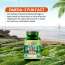 Vlado's Himalayan Organics: Vegetarian Omega 3 - 1120 MG Supplement | 3X Strength | Veg DHA | Vegetarian Omega 3 | Algal DHA | Plant Based | No Fish oil Used I Healthy Heart, Joints & Eyes I Omega Capsules for Men & Women- 60 Veg Capsules