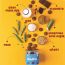 Gladful: Chocolatey Protein mini cookies for kids and families Cookies - 150 gm