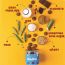 Gladful: Chocolatey Protein mini cookies for kids and families Cookies - 150 gm (Pack of 3)