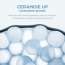 SKIN1004: Madagascar Centella Hyalu-Cica Sleeping Pack  | Overnight Hydration | Calming Care | Sensitive Skin | 30ml