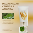 SKIN1004: Madagascar Centella Soothing Cream  | Calming Care | Sensitive Skin | Moisturizer | Barrier Support | 75ml