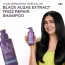 CINCINNUS: Black Algae Extract Frizz Repair Shampoo 300ml