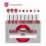 Love Earth: Liquid Matte lipstick 2.0 | Velvet Matte Lip Colors | Everyday & Party Shades | Pack of 9 | 2ml Each