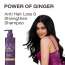 CINCINNUS: Ginger Anti Hair Loss & Strengthening Shampoo 500ml