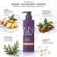 CINCINNUS: Ginger Anti Hair Loss & Strengthening Shampoo 500ml