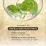 SKIN1004: Madagascar Centella Ampoule  | Calming Care | Sensitive Skin | Hydrating | Glow Boost | 55ml