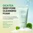 Dewdap: Cicatea Pore & Sebum Pack Cleanser | Pore Minimizing Cleanser | Sebum Control | 150ml
