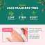 Apieu: Mulberry Blemish Clearing Ampoule | Korean Skincare | Healthy Glow | Hydration | 30ml