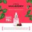 Apieu: Mulberry Blemish Clearing Ampoule | Korean Skincare | Healthy Glow | Hydration | 30ml